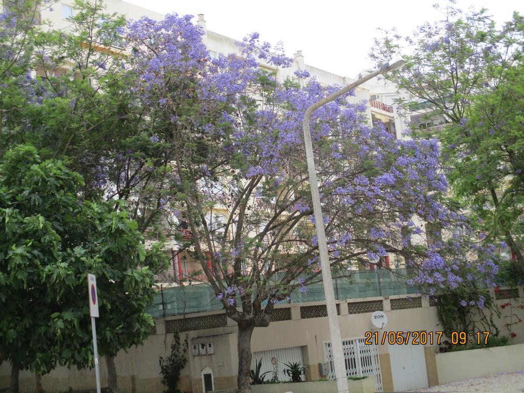Edificio Canoa Armação de Pêra Eksteriør bilde